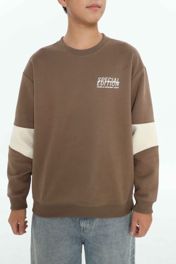 ÁO SWEATSHIRT TEEN BOY TSW507R - Hình ảnh 13