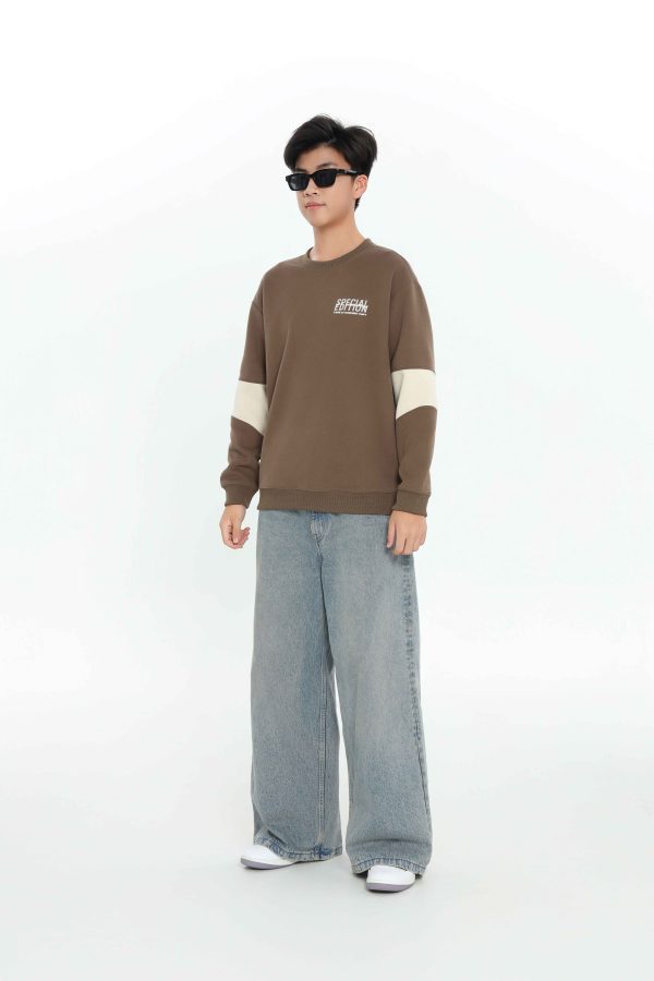 ÁO SWEATSHIRT TEEN BOY TSW507R - Hình ảnh 11