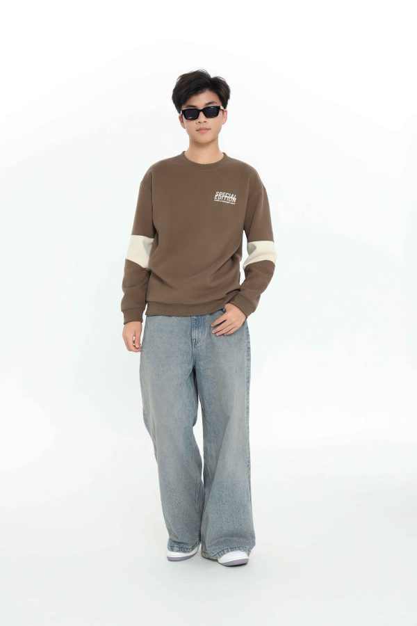 ÁO SWEATSHIRT TEEN BOY TSW507R - Hình ảnh 9