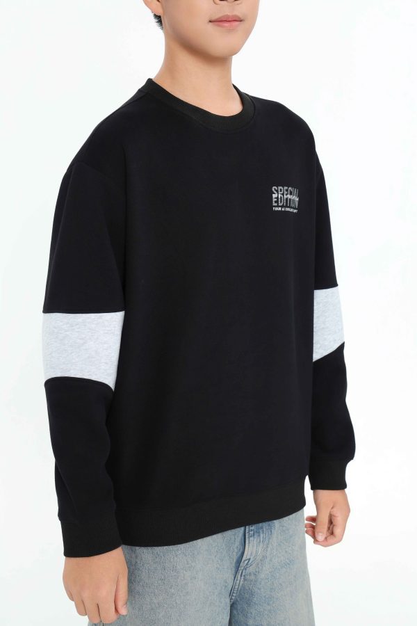 ÁO SWEATSHIRT TEEN BOY TSW507R - Hình ảnh 5